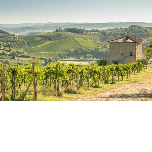 Agriturismo Il Casolare Di Bucciano