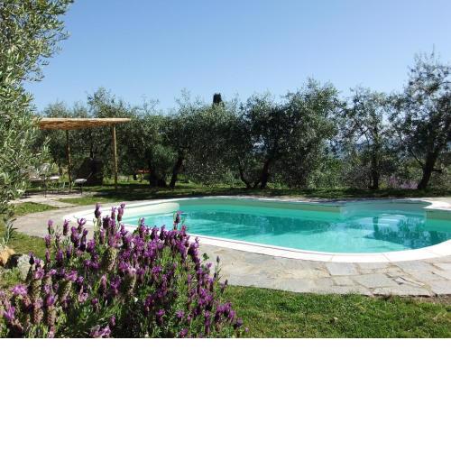 Agriturismo Il Castagnolino