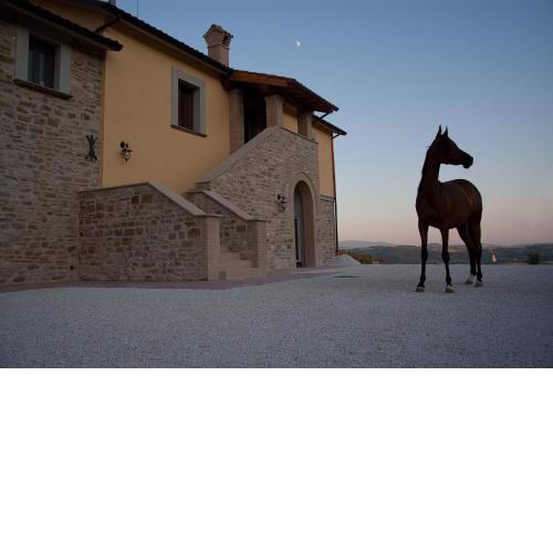 Agriturismo Il Moro