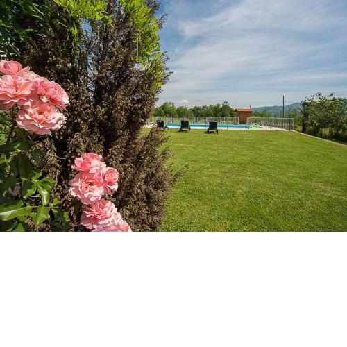 Agriturismo Il Musaccio