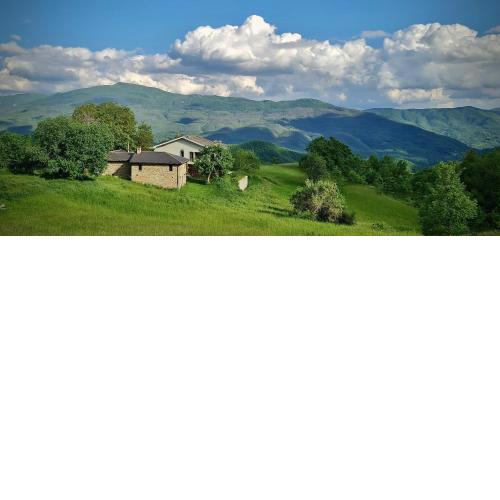 Agriturismo Il Noce d'Oro