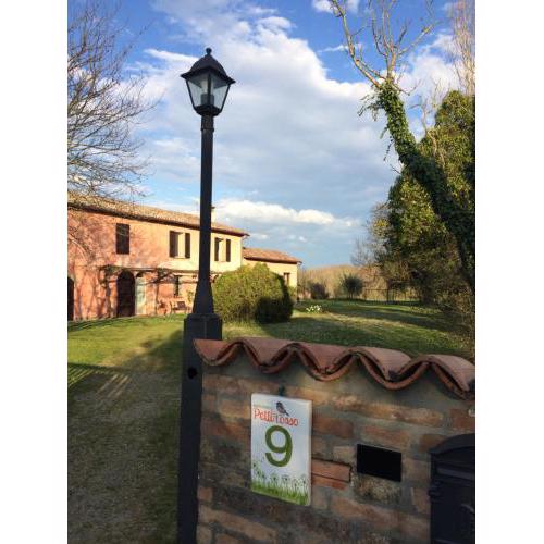 Agriturismo Il Pettirosso