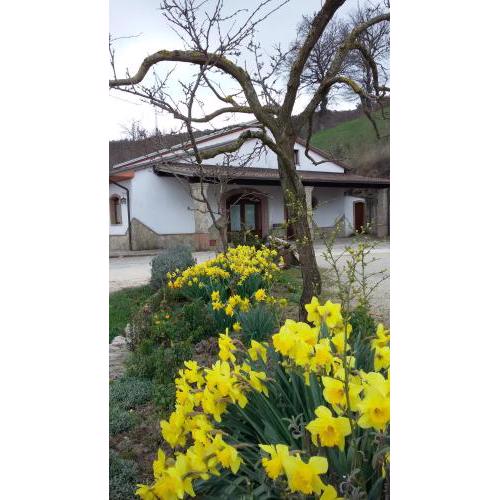 Agriturismo Il Regio Tratturo
