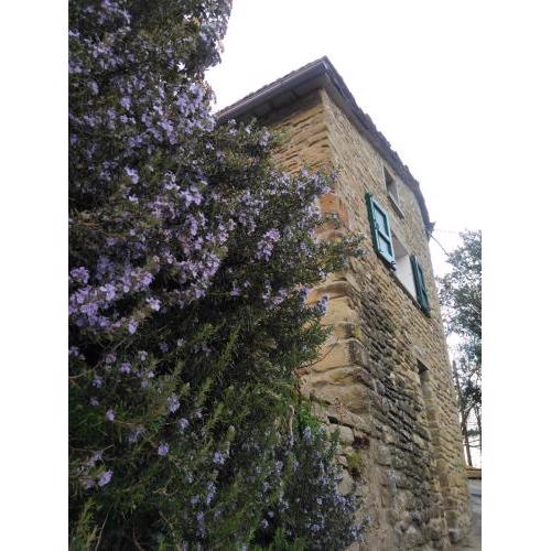 Agriturismo Il Regno del Marrone