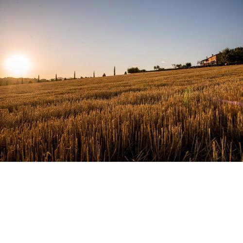 Agriturismo Il Tiro