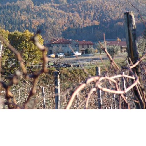 Agriturismo Il Trebbio