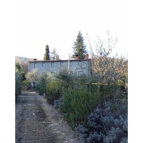 Agriturismo Il Vecchio Ospitale