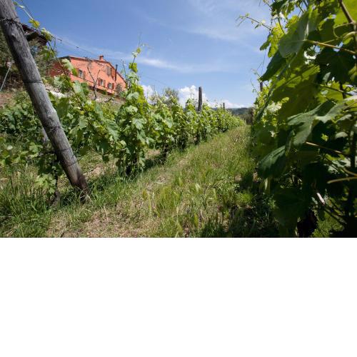 Agriturismo La Burlanda