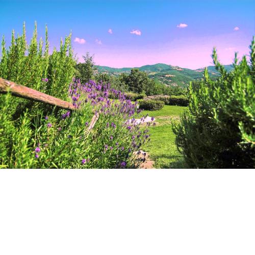 Agriturismo La Castellana