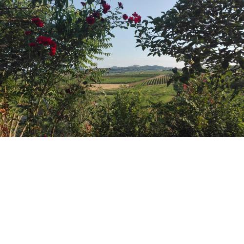 Agriturismo La Chiesina