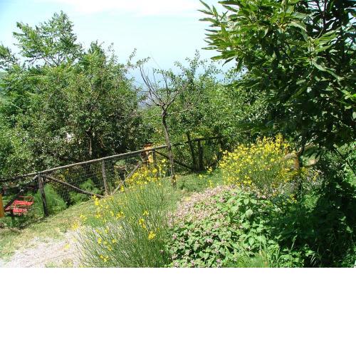 Agriturismo La Ginestra