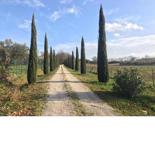 Agriturismo La lampada di Atena