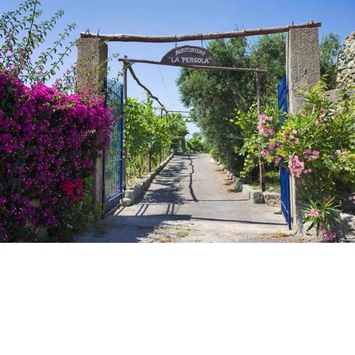 Agriturismo La Pergola