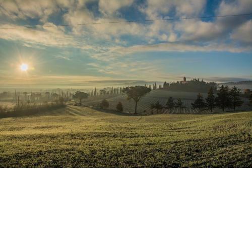 Agriturismo La Ripolina