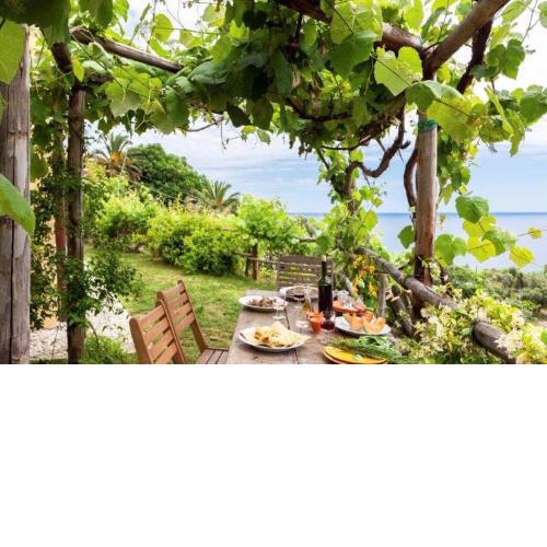 agriturismo la selva