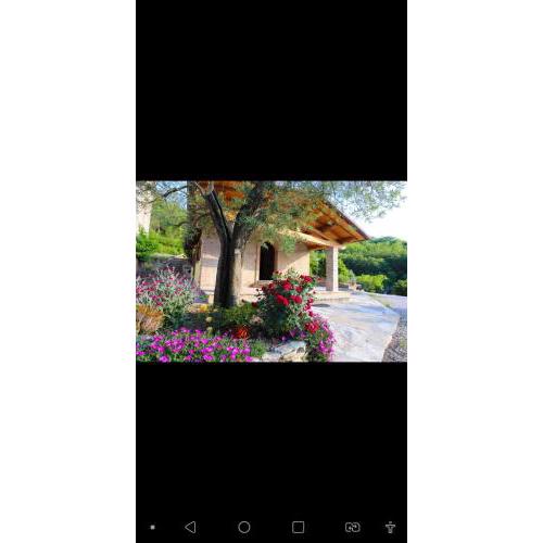Agriturismo la Tana