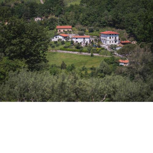 Agriturismo La Valle degli Ulivi