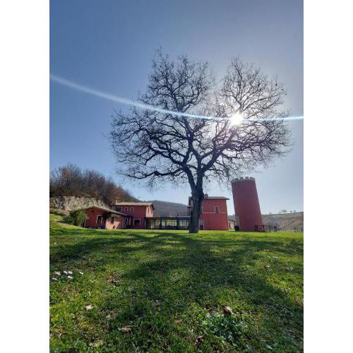 Agriturismo La Vita è Bella