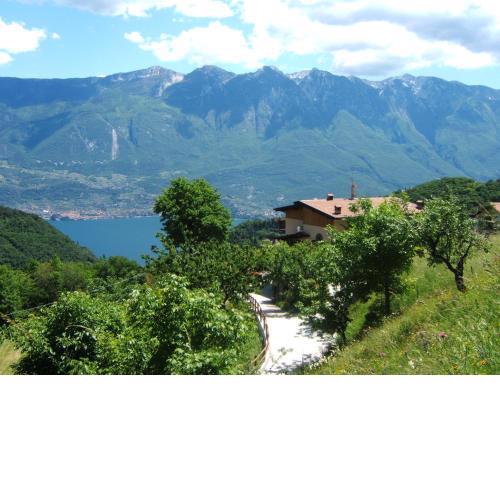 Agriturismo La Zangola