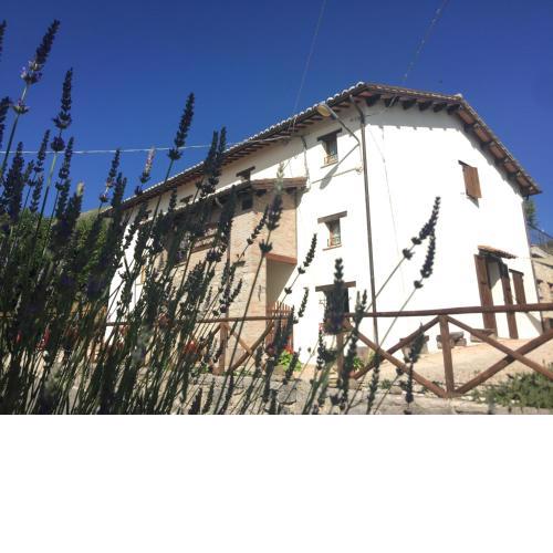 Agriturismo Le Castellare