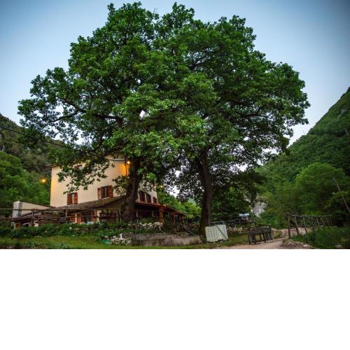 Agriturismo le due querce