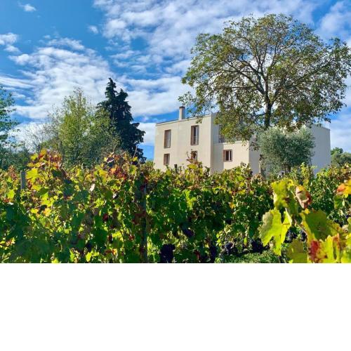 Agriturismo Le Masciare