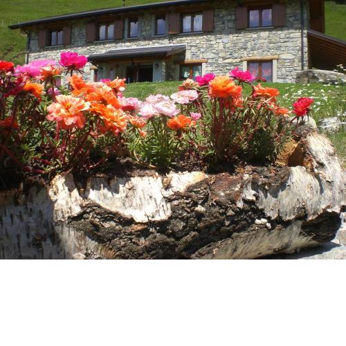 Agriturismo Le Radici