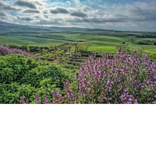 Agriturismo Le Tassinaie