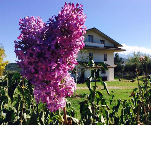 Agriturismo Le Terre d'Abruzzo Country House