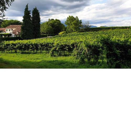 Agriturismo l'Eremo