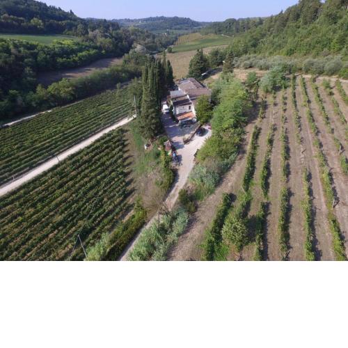 Agriturismo Lucciano