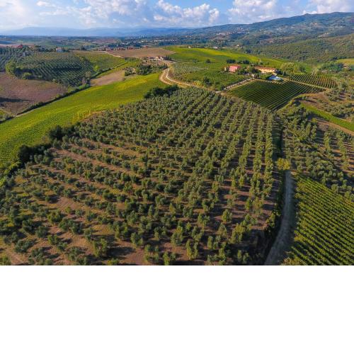 Agriturismo Luggiano