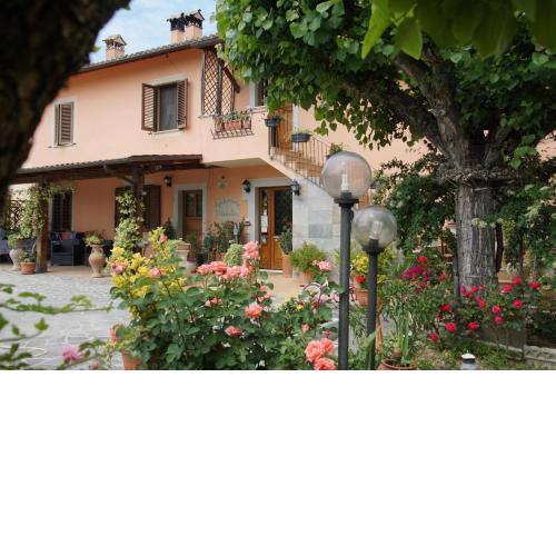 Agriturismo L'Ulivo in Fiore
