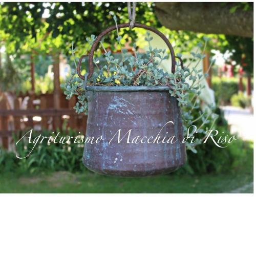 Agriturismo Macchia di Riso
