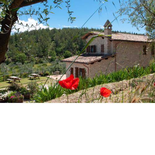 Agriturismo Molino Verde