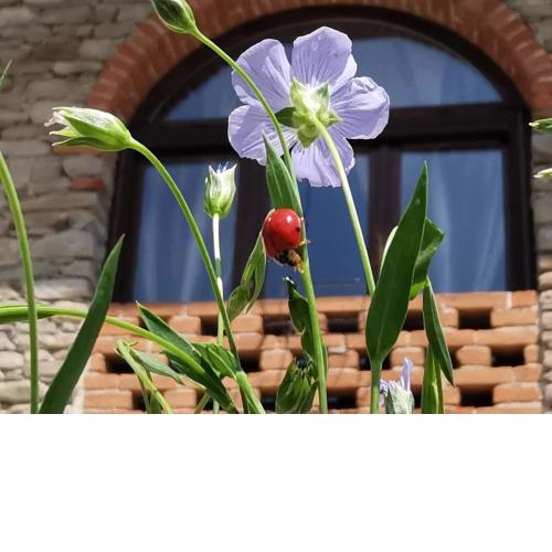 Agriturismo Mondo