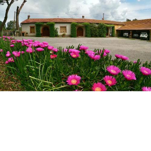 Agriturismo Monte Alzato