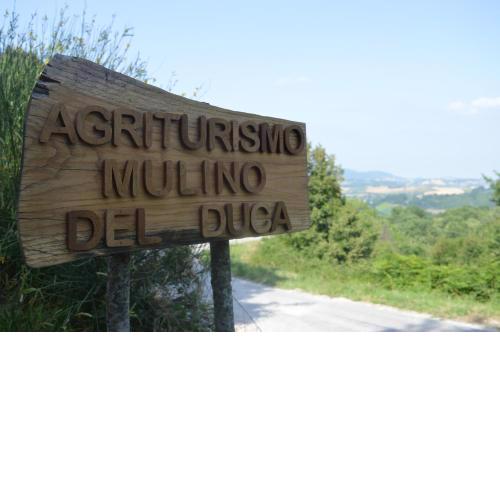 Agriturismo Mulino del Duca