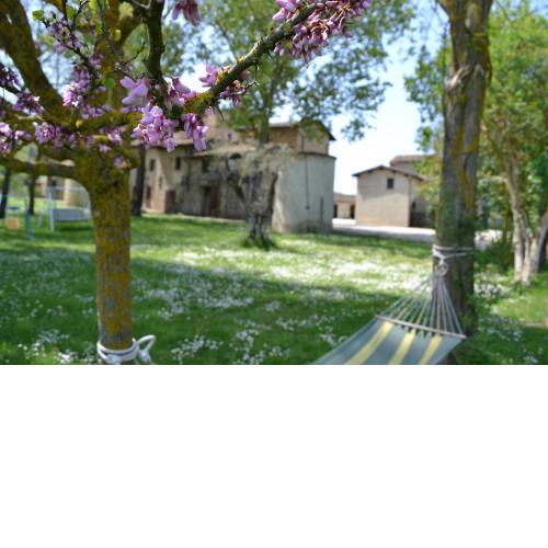 Agriturismo Nestore