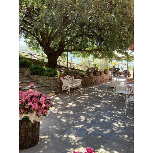 Agriturismo Nonno Luigino