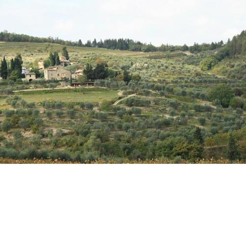Agriturismo Podere Somigli di Lorenzo Correani