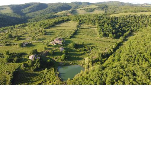 Agriturismo Podere Tegline