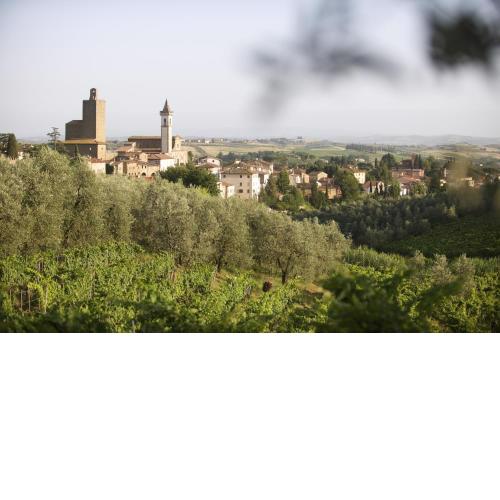 Agriturismo Podere Zollaio
