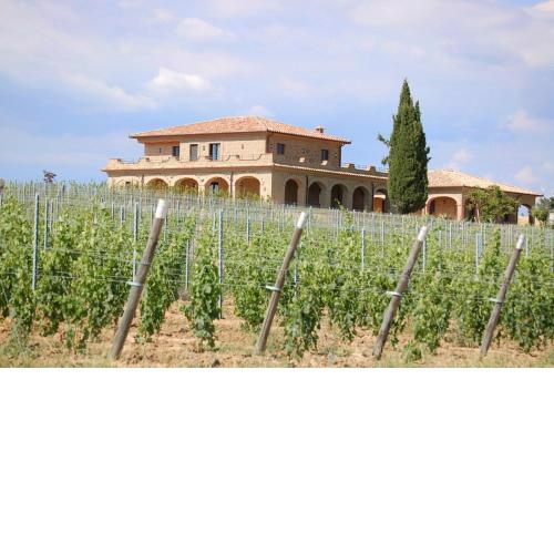 Agriturismo Poggio Al Tufo