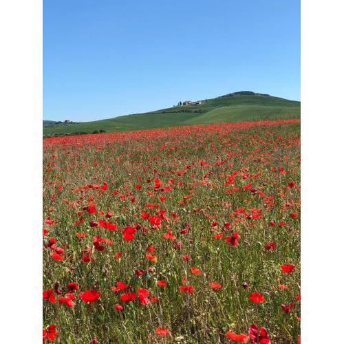 Agriturismo Poggio Tobruk