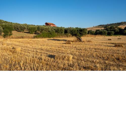 Agriturismo Rende