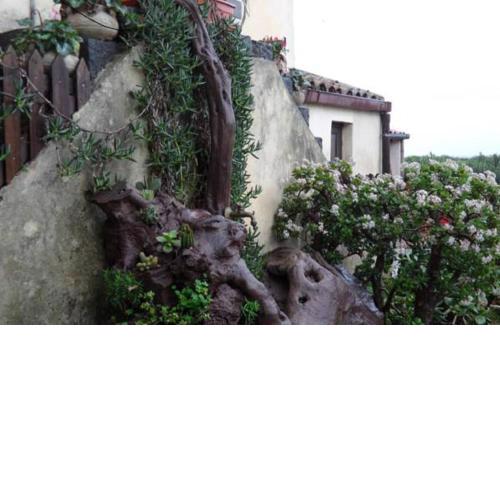 Agriturismo Ruvitello