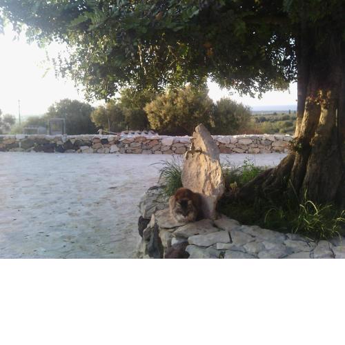 Agriturismo Sa Conca Ruia