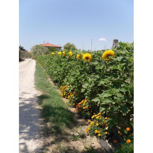 Agriturismo San Rocco