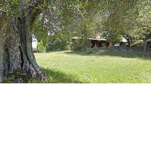 Agriturismo Sommavilla
